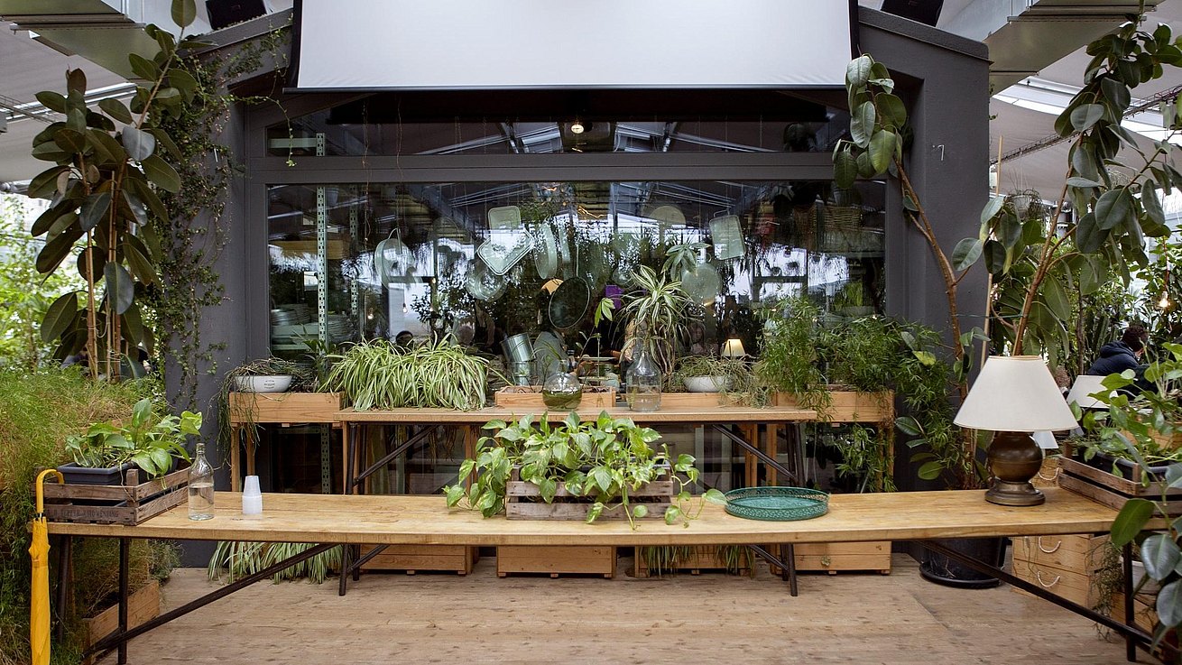 Innenansicht eines Arbeitstischs in einem üppig bepflanzten Gewächshauses