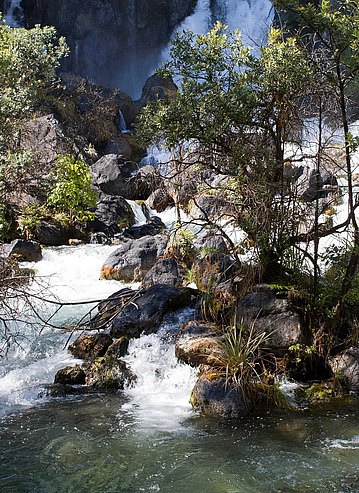 Aufnahme des von der Whakatane Quelle gespeisten Wasserlaufs zeigt die raue, ursprüngliche Naturschönheit Neuseelands