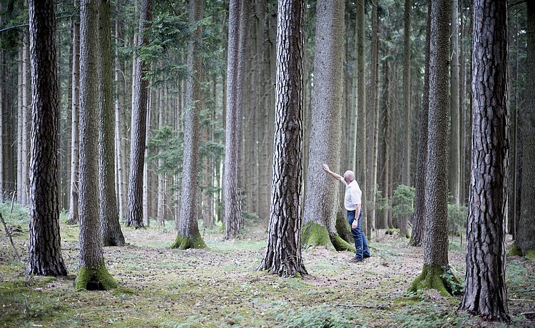 bulthaup Mitarbeiter Paintmeier im Wald beim Inspizieren der Bäume
